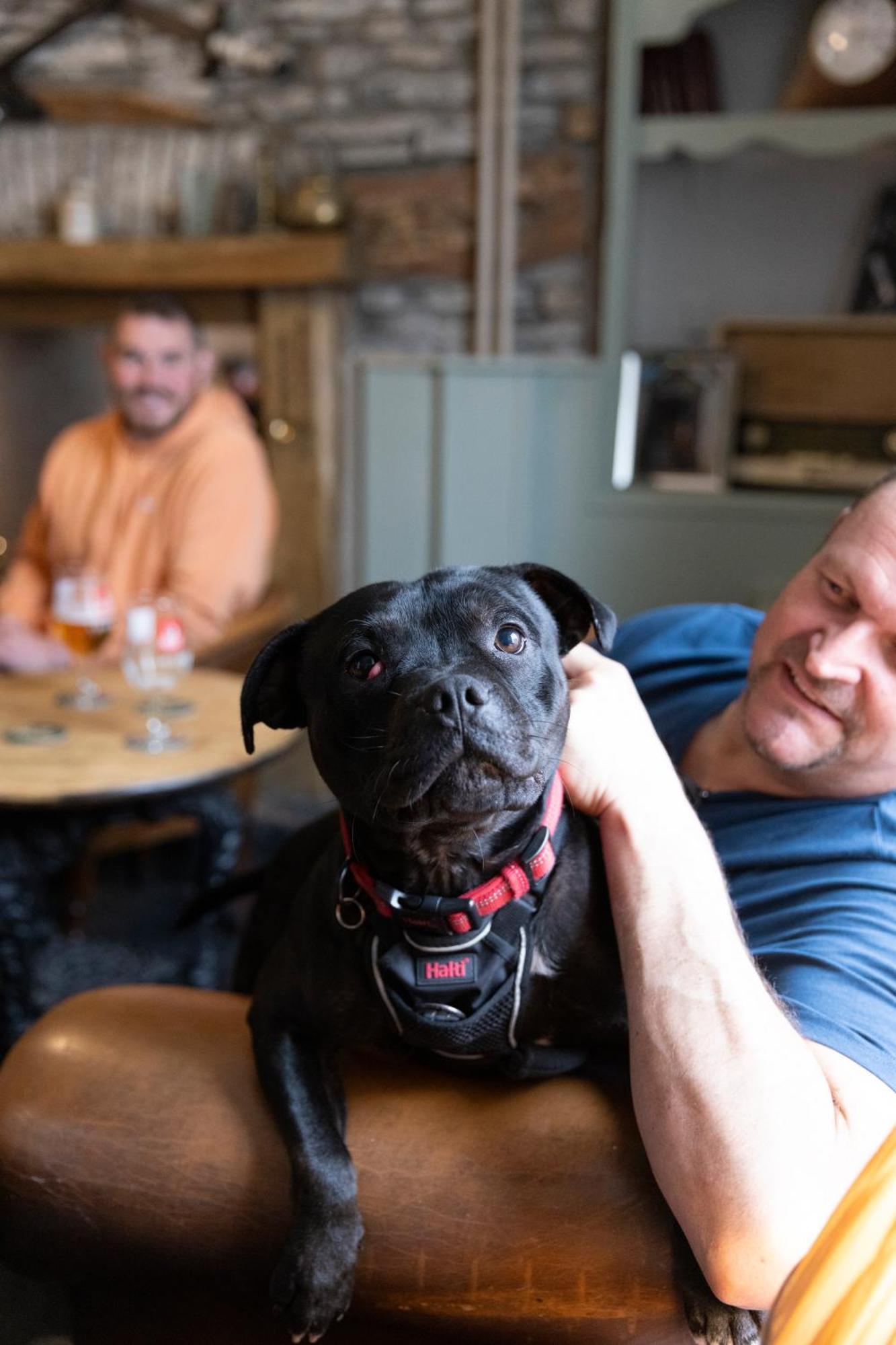 The Bear Inn Llantrisant  Dış mekan fotoğraf